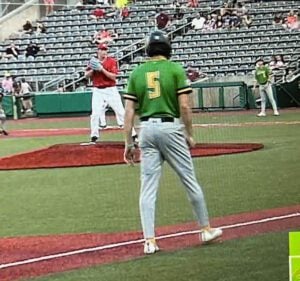 Baseball player in green jersey with number 5 faces away from camera on a field with spectators in the background.