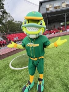 Cape Catfish mascot in green baseball uniform on a field.