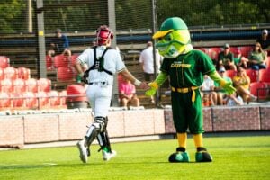 Baseball catcher high-fives green catfish mascot on field.
