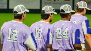 Baseball players in purple jerseys with numbers 12, 17, and 24 stand on a green field.